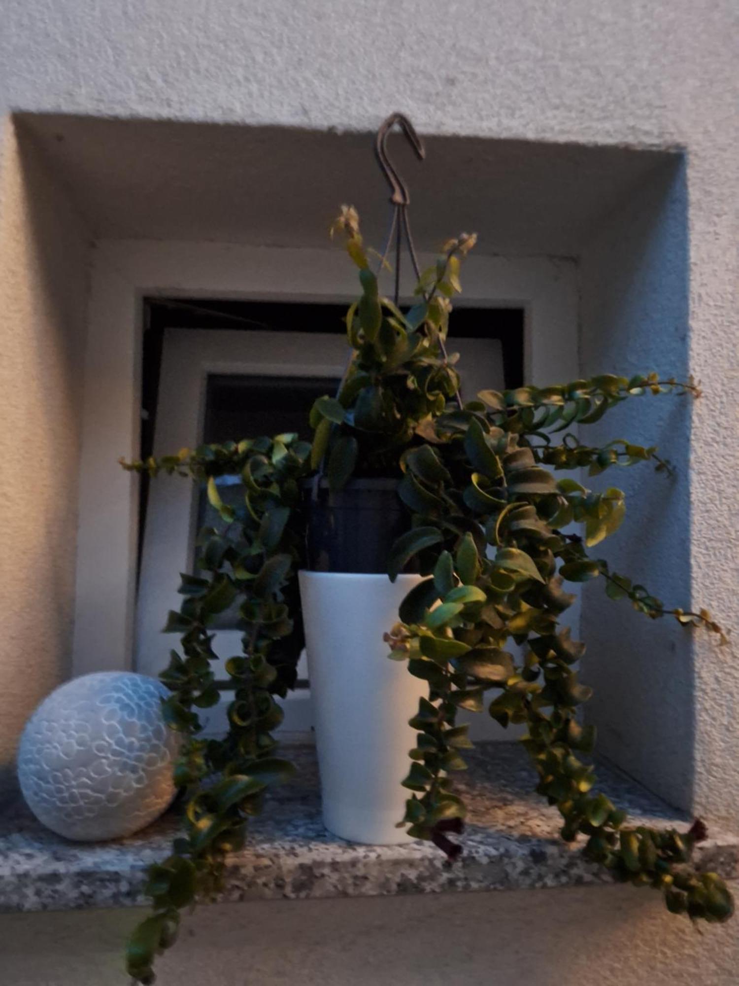 Studio Apartmani Louis I Lola Zagreb Luaran gambar